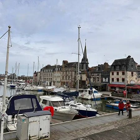 Large In Center شقة