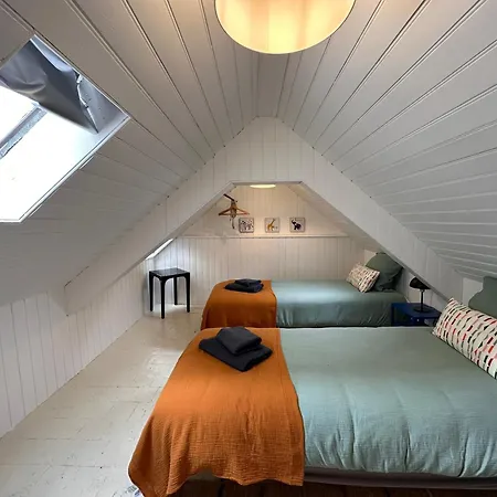 Apartment Large In Center *