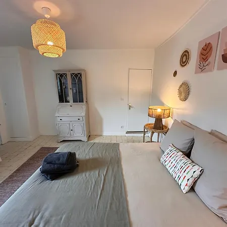 Apartment Large In Center