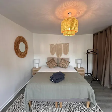 Apartment Large In Center *
