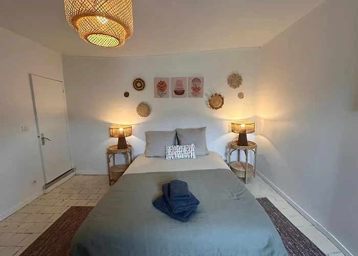 Apartment Large In Center