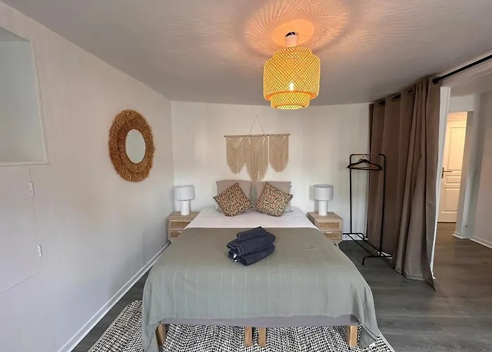 Apartment Large In Center *